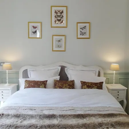 B&B D : Louvre Elegant 4*